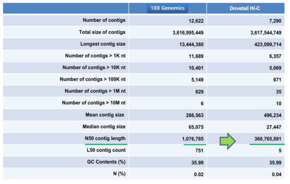 B. sinuspersici 10X genomics 분석 및 H i-C 어셈블리 결과