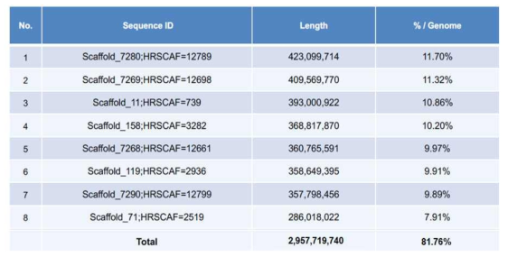 B. sinuspersici H i-C 어셈블리 스캐폴드 8개 길이와 유전체 coverage