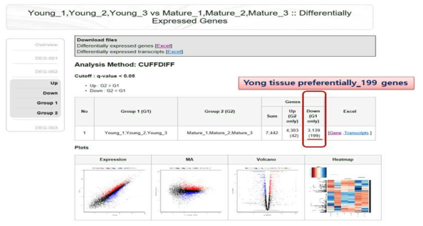 유엽과 중간엽 특이 발현하는 199개 유전자 RNA-seq 분석