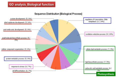 81개 유전자 Biological fuction 분석도