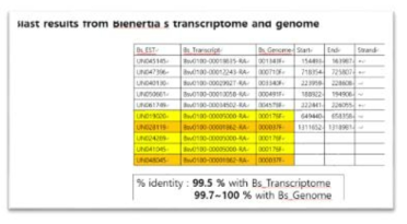 PEPC 100 bp fragment에 binding 하는 transcription factor candidate 유전자의 동정