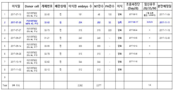 htPA 체세포를 이용한 복제란 이식