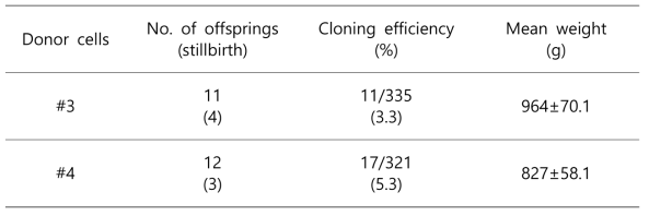 두 종류의 체세포를 이용한 복제란 생산, 이식 및 산자 생산