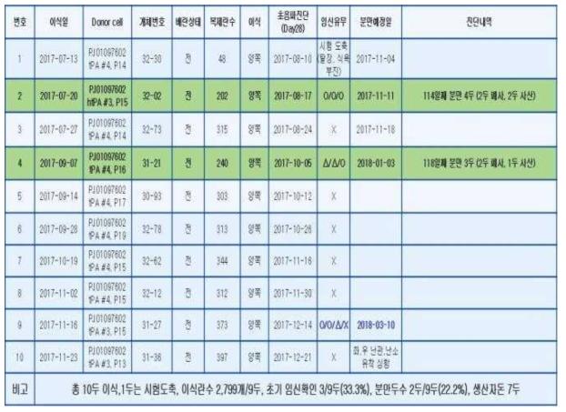 2017년 형질전환 복제란 이식, 임신 진단 및 분만