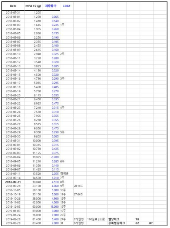 htPA #13B2 개체의 체중 변화 기록