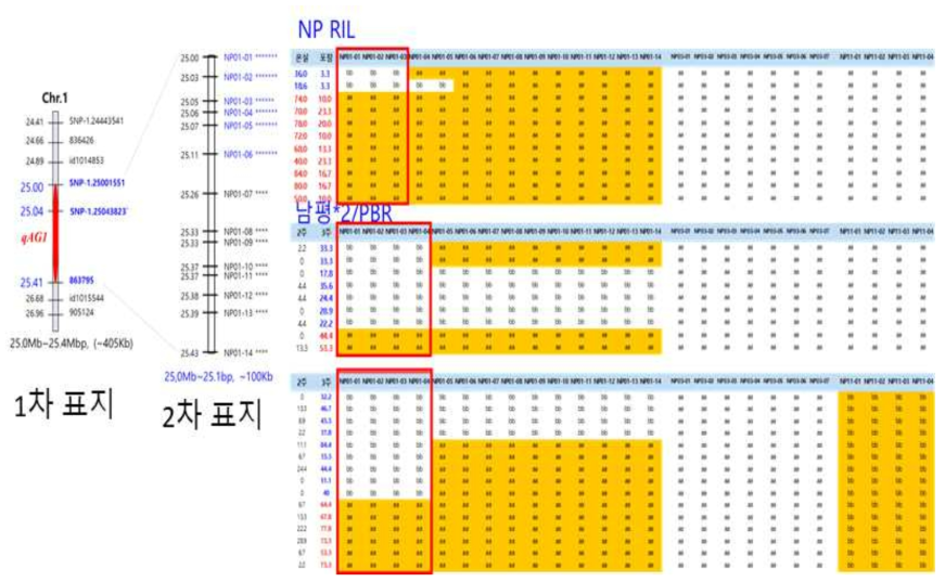 qAG1 영역 finemapping 결과 요약