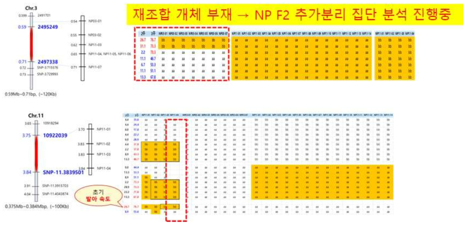 qAG3 및 qAG11 영역 finemapping 결과 요약