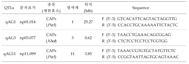 혐기발아내성 계통선발용 CAPs 분자표지