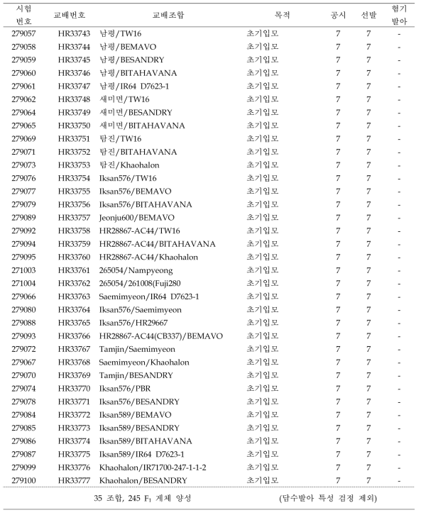 혐기발아 F1 식물체 양성 및 선발내역 (17/18 동계)