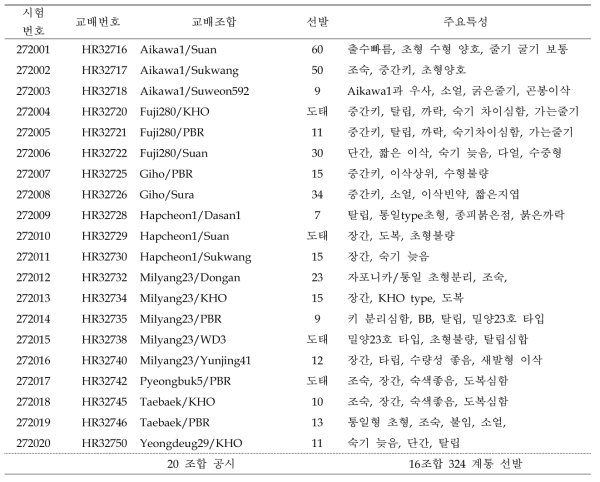 혐기발아 F2 선발 내역요약 (2017 하계)