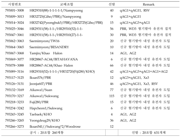 혐기발아 내성 F3 계통 선발 요약