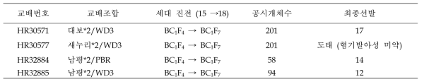 여교잡 후대 집단 세대 진전 및 선발 내역