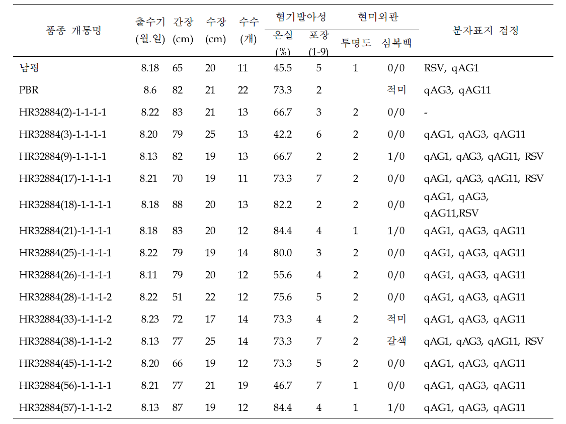 남평*2/PBR 여교잡 후대 유망계통 1차 선발계통 요약