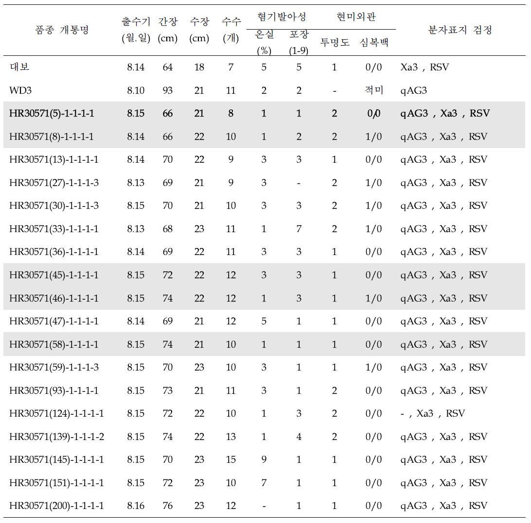 대보*2/WD3 여교잡 후대 유망계통 선발