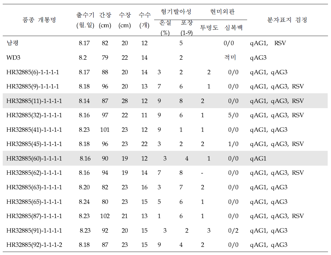 남평*2/WD3 여교잡 후대 유망계통 선발