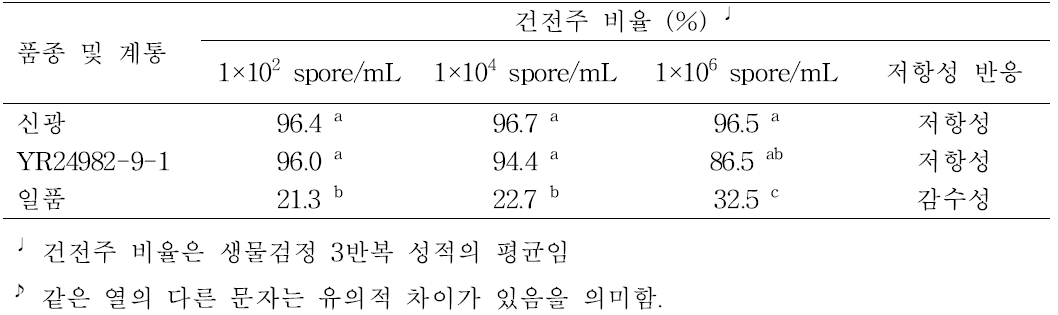 YR24982-9-1의 키다리병 저항성 정도