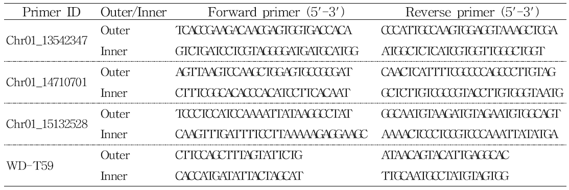 qBK1WD 위치 정밀화를 위한 tetra 프라이머 목록 및 서열