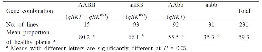 qBK1과 qBK1WD의 유전자 pyramiding 효과 확인