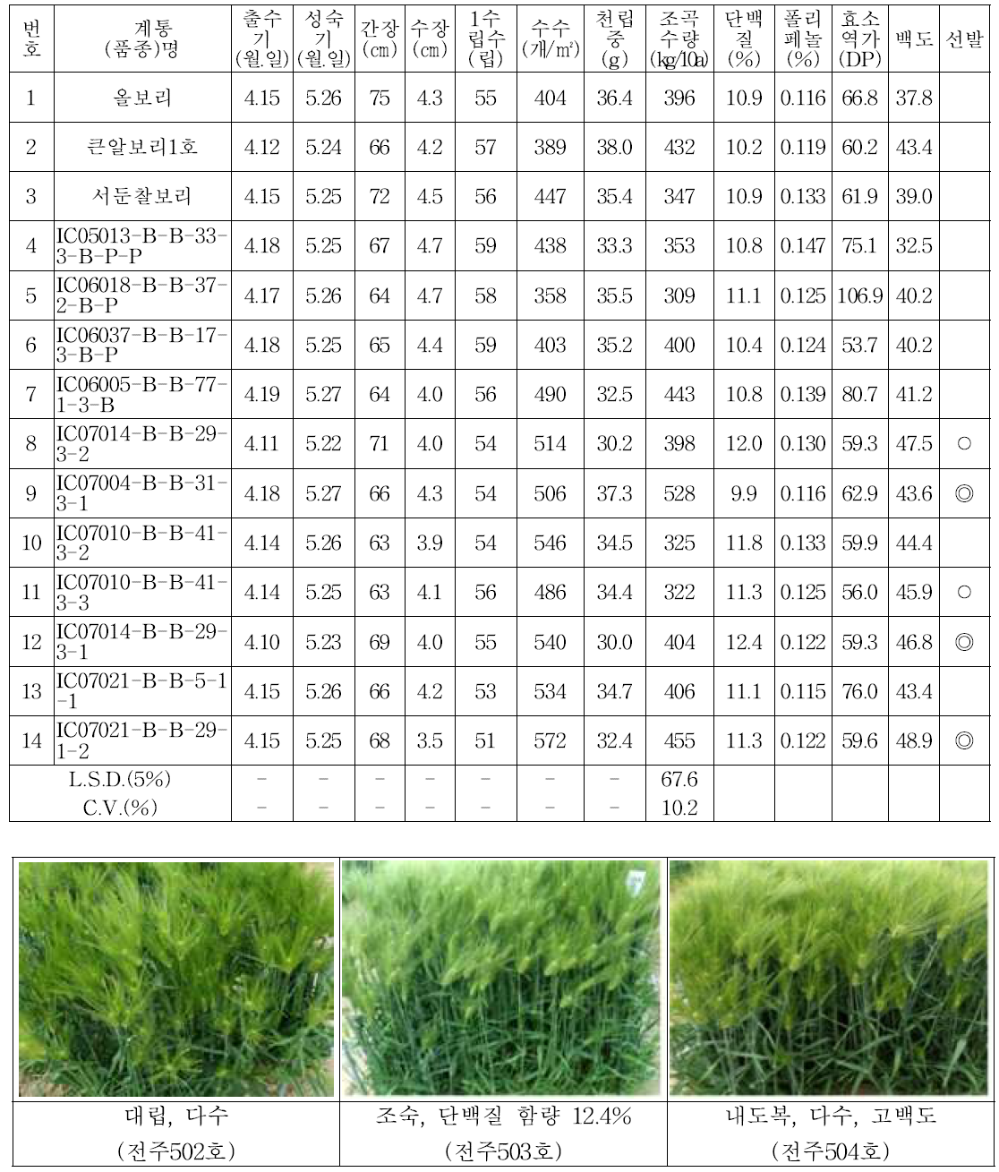 생산력검정 본 시험(2015/2016) (◎ 선발 ○ 재시험)