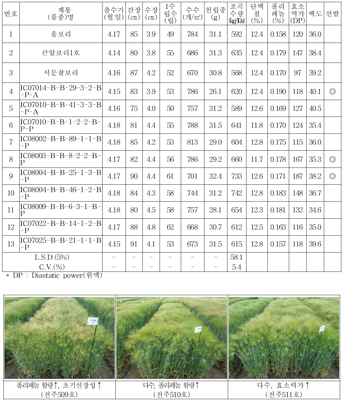 생산력검정 본 시험(2016/2017)