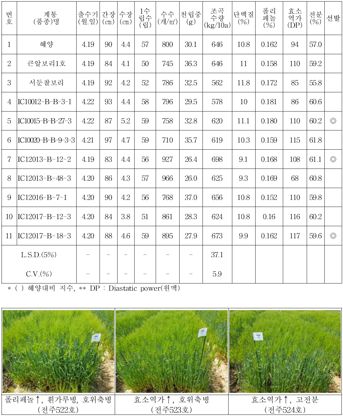 생산력검정 본 시험(2018/2019)