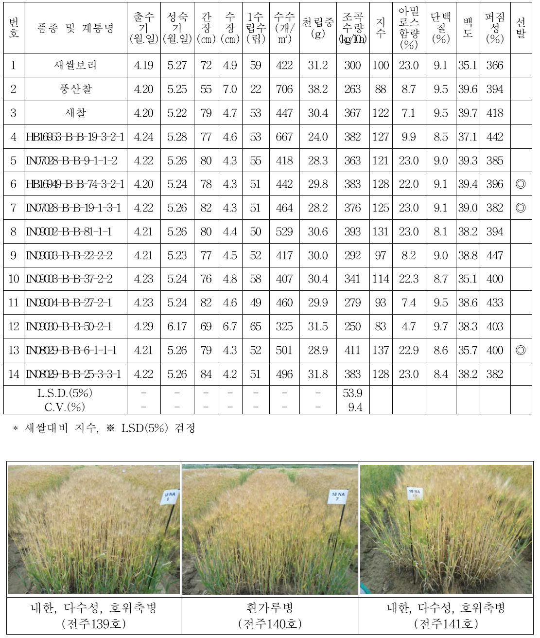 생산력검정 본 시험(2017/2018)