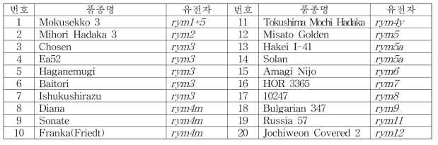 일본도입 보리호위축바이러스 저항성 유전자(원) 목록