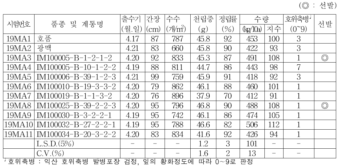 맥주보리 생산력검정 본시험(2018/2019)