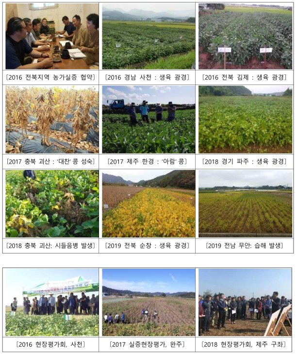 콩 농가실증시험(’15～’19) 관련 사진