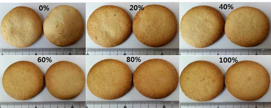 밀가루·쌀가루 함량별 쌀 쿠키 제조