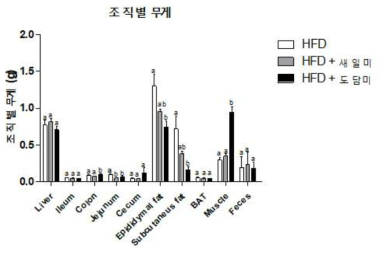 그룹별 조직 무게 비교