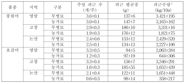 바이러스 무병묘 및 농가재배묘의 재배지역별 괴근 수량