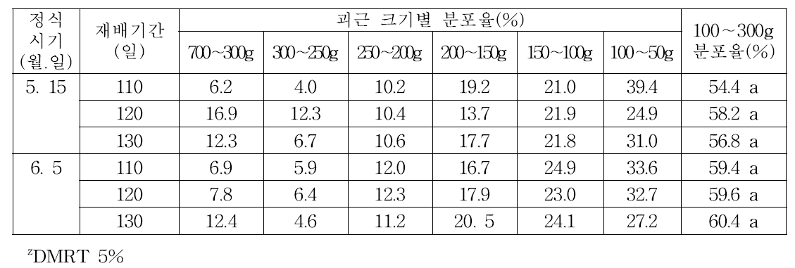 바이러스 무병묘의 정식시기 및 재배기간에 따른 괴근 크기별 분포율