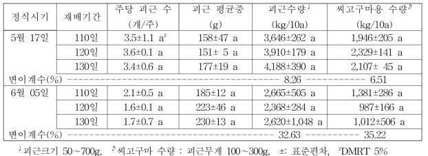 바이러스 무병묘 정식시기 및 재배기간에 따른 괴근수량