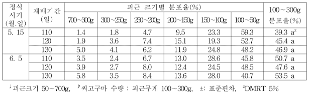 정식시기 및 재배기간에 따른 괴근 크기별 분포율