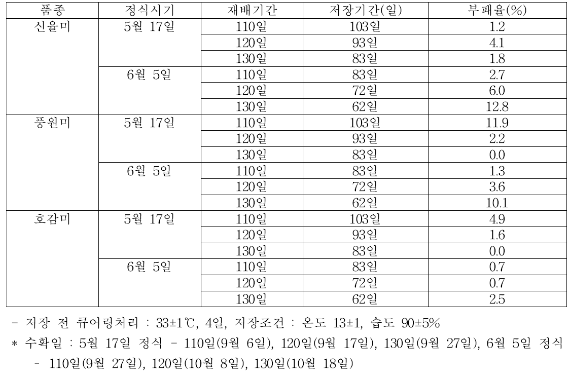 정식시기별 재배기간에 따른 괴근의 부패율