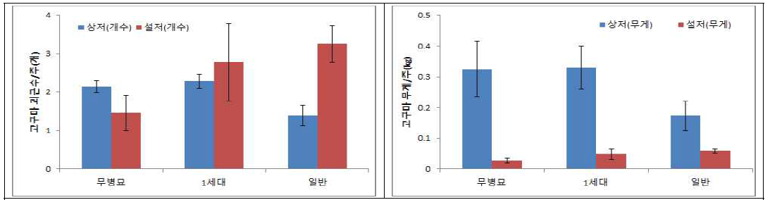 율미 무병 씨고구마 세대별 수량성