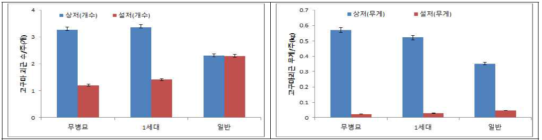 진홍미 무병 씨고구마 세대별 수량성