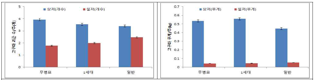 다호미 무병 씨고구마 세대별 수량성