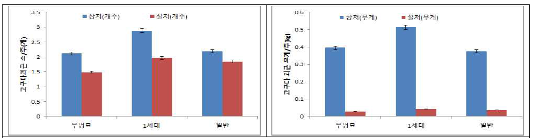 풍원미 무병 씨고구마 세대별 수량성