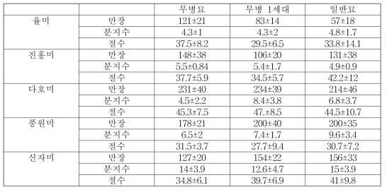 품종별 무병 씨고구마 세대별 지상부 생육