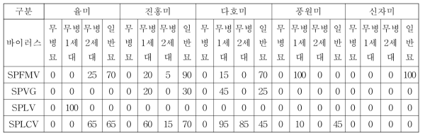 바이러스 무병묘 년차별 바이러스 감염율(%)