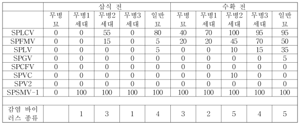 풍원미 삽식 전후 바이러스 감염율