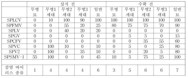 진홍미 삽식 전후 바이러스 감염율