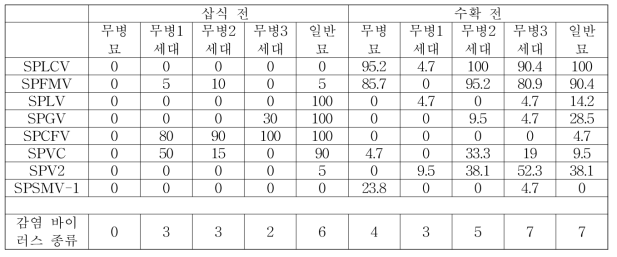 율미 삽식 전후 바이러스 감염율