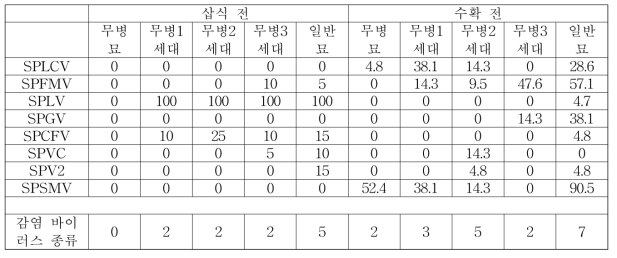 신자미 삽식 전후 바이러스 감염율