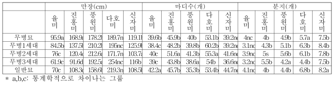 품종별 및 세대별 상저 지상부 생육 비교