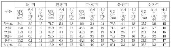 세대별 및 품종별 초기 생육 (조사 : 6월 19일, 2019)