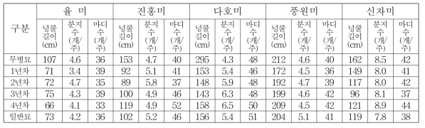 세대별 및 품종별 수확기 지상부 생육 (조사 : 9월 26일, 2019)