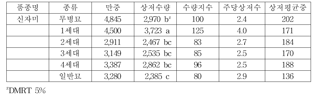 신자미 무병묘 세대별 수량 및 수량구성요소(2019)